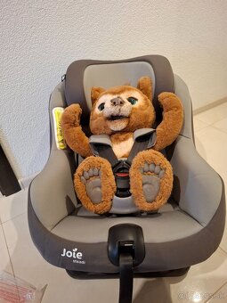 Joie steadi - 4