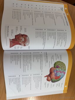 Cvičebnice anatomie pro studenty - 4