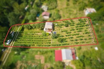 Predaj chatky s veľkou záhradou, vinica, Bzince pod Javorino - 4