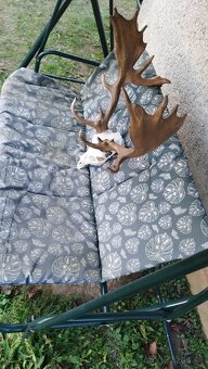 Predám medailovú aritnu trofej Daniela. Parožie zhody trofej - 4