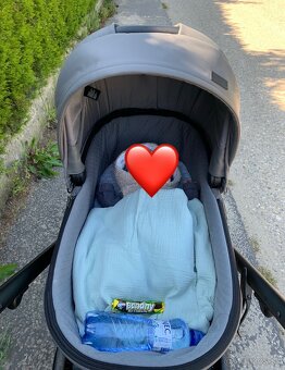 Kočík Anex e/type gothic - 4