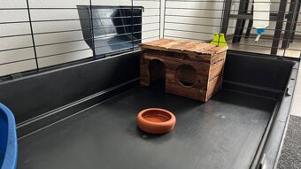 Klietka pre zajace,morske prasiatka…95x50x36 - 4