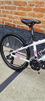 Bucykel Vedora 24" alu - 4