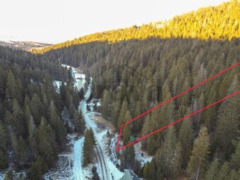 Pozemok na chatu s lesom – Brezovica, Orava - 4