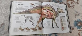 Dinosaury - 4