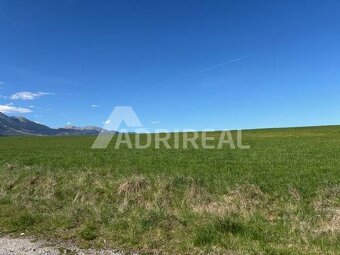 PREDAJ: Investičná príležitosť pozemok; Nová Lesná; 8044 m2 - 4