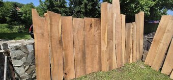 Čerešnove drevo - 4