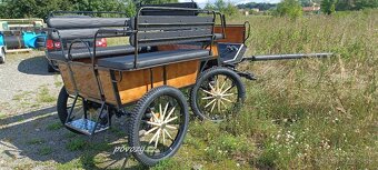 Bryčka, koč, koňský povoz, vagoneta H340 - 4