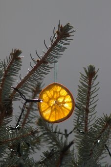 Canon FD 200/4 M42 - 4