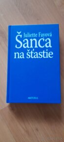 Gilbertová: Presvedčenie - 4
