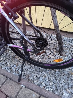 Dámsky pekný bicykel - 4