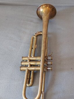 Trubka amati kraslice - 4