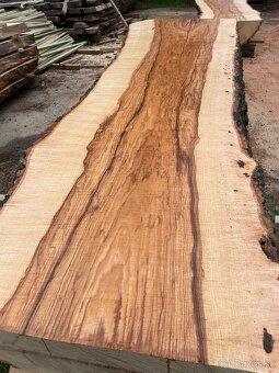 JASEŇOVÉ REZIVO OLIVE ASH / Očkové drevo / Live edge - 4