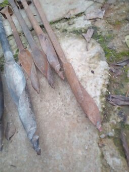 Starý príbor nebožce - 4