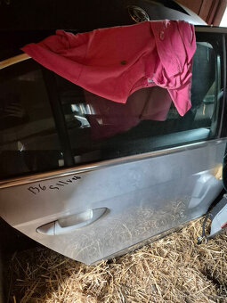 Dvere VW Passat b6 - 4