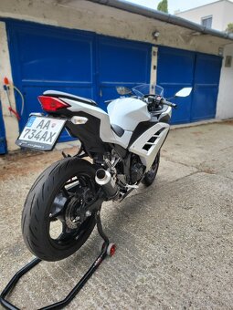 Kawasaki Ninja 300, A2
 - 4