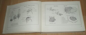 Atlas plemien hydiny - 4