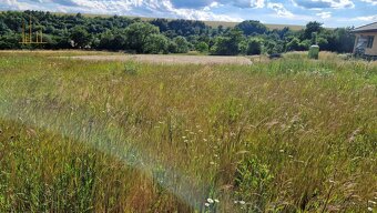 POZEMKY NA VÝSTAVBU RD -  len 15 min od Prešova, DALETICE - 4