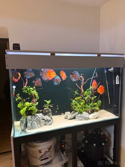 455l Akvarium - 4