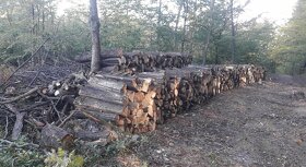 Predam tvrde palivove drevo suche 10m -520euro s dovozom - 4