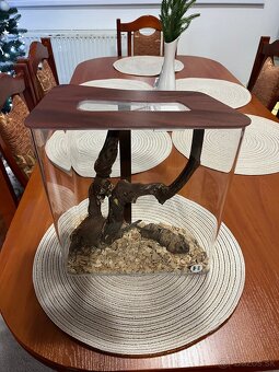 Dizajnové Terarium/ insektárium - 4