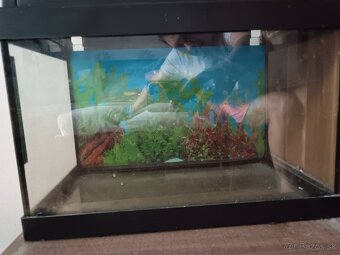 Akvarium - 4