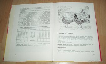 Plemená drubeže – Príručka pro chovatele drubeže, časť III. - 4