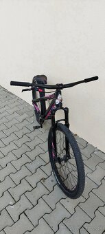 DEMA Befly Custom - 4