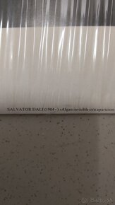 Foto na kartóne Salvator Dalí 80x60cm - 4