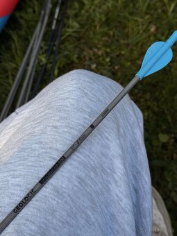 Luk, terč, šípy - 4