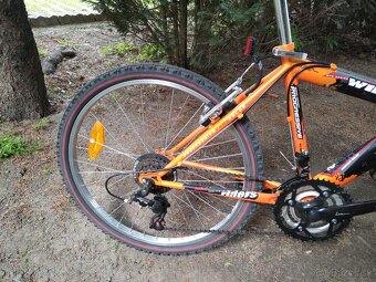 horský bicykel CTM-Willy,24"kolesá,16"rám(na výšku 140-160 - 4