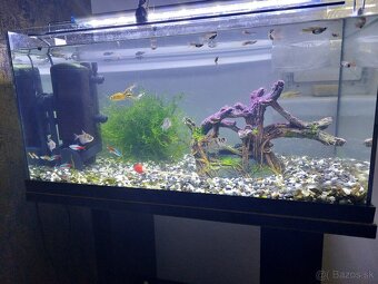 Komplet akvarium 54l + stol + ryby +dekoracie + doplnky - 4