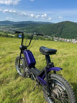 Babetta - 4