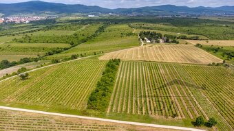 Na predaj zaujímavý pozemok v Modre s výmerou 6419 m2 - 4