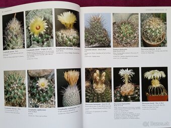 Ilustrovaná encyklopédia kaktusov v angličtine - 4