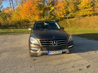 ML250CDi W166 4matic - 4