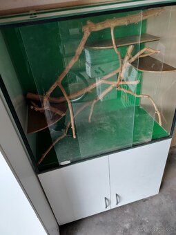 Terarium - 4
