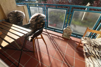 PRENÁJOM 3KK LUXUSNÉHO BYTU BULVÁR - 4