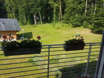 3 IZBOVY PODKROVY BYT_100m2_ PUSTA DOLINA, PRESOV - 4