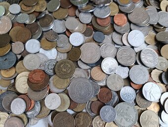 Mince 3.5kg lot2 - 4