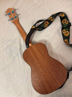 Ukulele - 4
