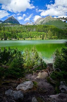 Nikon Z 24-70mm F/4 S - 4