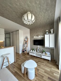 MODERNE ZARIADENÁ GARSÓNKA- SLNEČNICE - 4