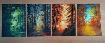 Akrylové obrazy 40x30cm - 4