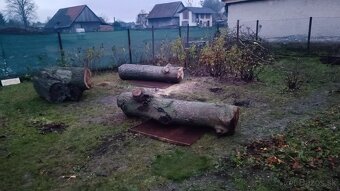 Orechové drevo - kmene na fošne, na nábytok - 4