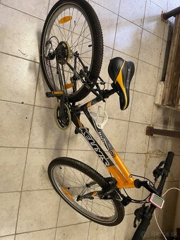 Kellys Jane Junior - 4