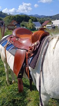 Western - 4