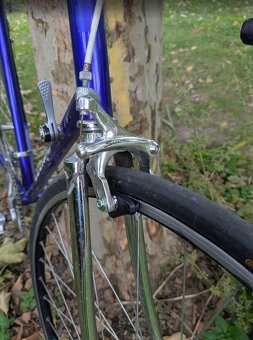 Buchel Shimano Exage 300 - 4