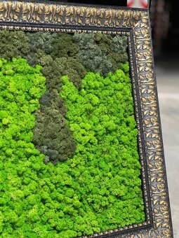 Machovy obraz WET - 4