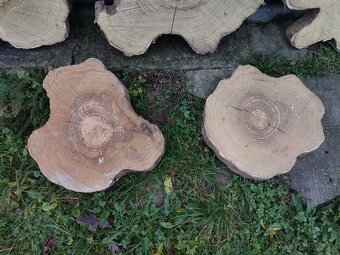 Dekoračné kmeňové drevené pláty - 4